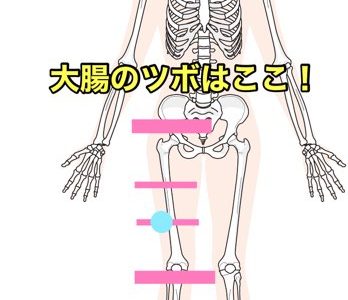 内臓整体と腰痛の関係って何 坂戸整体院零和 Reiwa